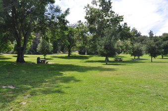 Enlarge photo 16