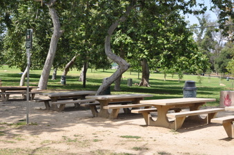 PARK CENTER AREA