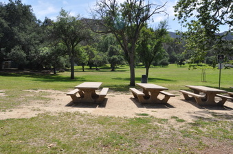 Enlarge photo 20