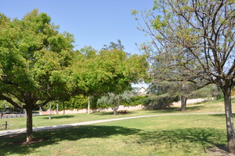 Enlarge photo 13