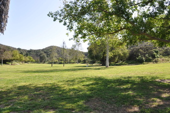 Enlarge photo 3