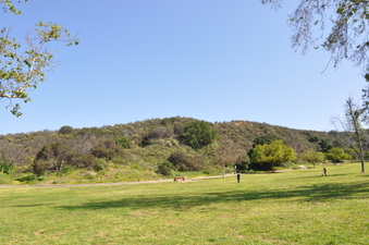 Enlarge photo 10
