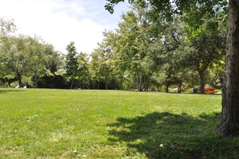 VISTA HERMOSA PARK - ALL OVER