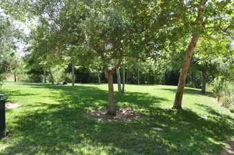 Enlarge photo 23
