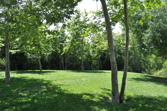Enlarge photo 31