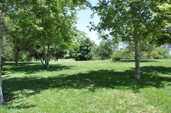 Enlarge photo 28