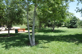 Enlarge photo 33
