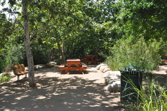Enlarge photo 30