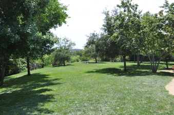 Enlarge photo 29