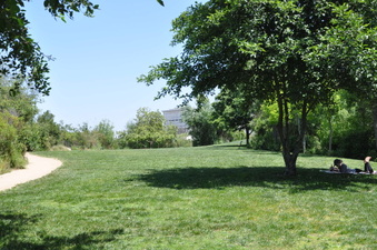 Enlarge photo 35