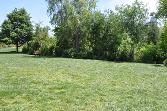 Enlarge photo 25