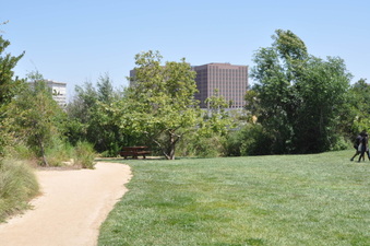 Enlarge photo 21