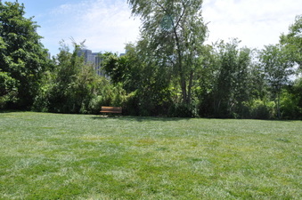 Enlarge photo 11