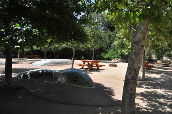 Enlarge photo 7