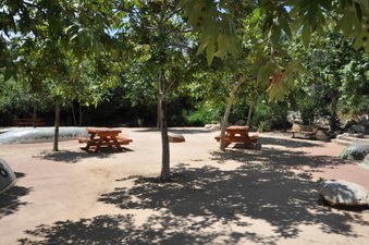 Enlarge photo 3