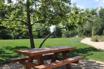 Enlarge photo 16