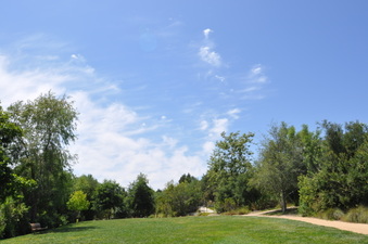 Enlarge photo 22