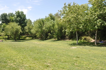 Enlarge photo 10
