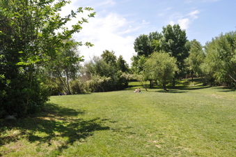 Enlarge photo 13