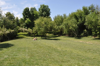 Enlarge photo 17