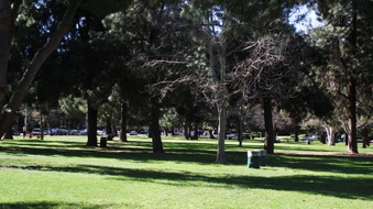 Enlarge photo 22