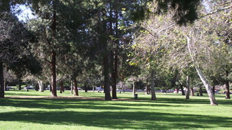 Enlarge photo 21