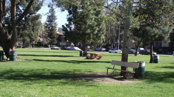 Enlarge photo 16