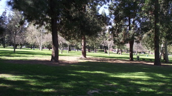 Enlarge photo 13