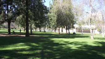 Enlarge photo 18