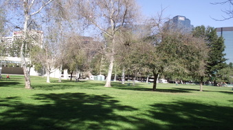 Enlarge photo 19