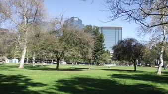 Enlarge photo 12