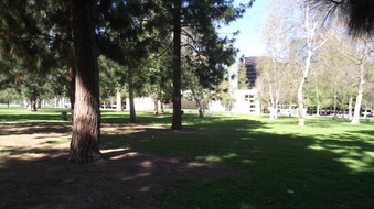Enlarge photo 24