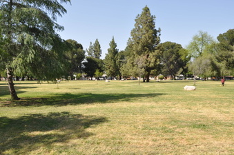 Enlarge photo 12