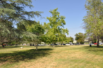 Enlarge photo 13
