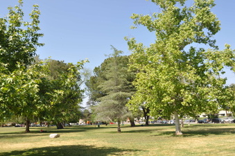 Enlarge photo 4
