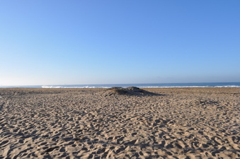 BOLSA CHICA - TOWER 27