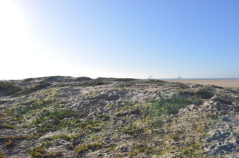 Enlarge photo 28