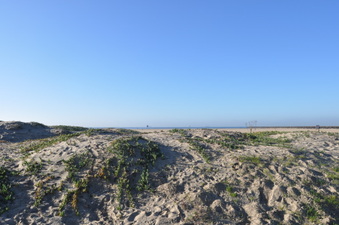 Enlarge photo 26