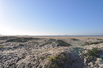 Enlarge photo 25