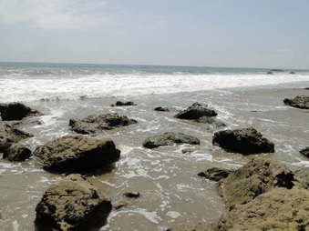 Enlarge photo 25