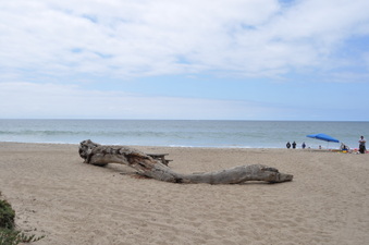 Enlarge photo 21