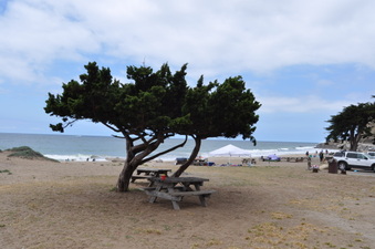 Enlarge photo 22
