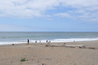 Enlarge photo 24