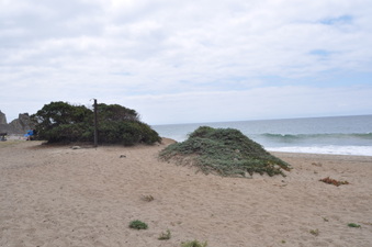 Enlarge photo 25