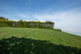 Enlarge photo 54