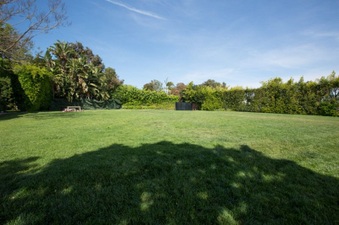 Enlarge photo 55