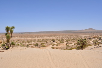 Enlarge photo 5