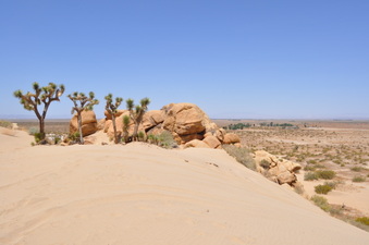 Enlarge photo 9