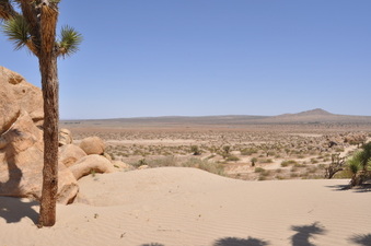 Enlarge photo 10