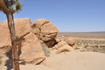Enlarge photo 12